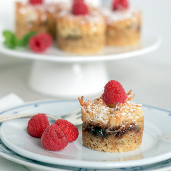 Coconut Raspberry Dainty